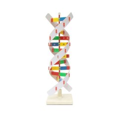 Об'ємна модель Структура ДНК 1