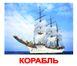 Учебные карточки Транспорт картон русский язык