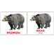 Учебные карточки Дикие животные/Wild animals русский язык