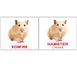 Учебные карточки Домашние животные/Domestic animals русский язык