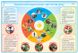 Комплект учебных плакатов Наглядность нового поколения - здоровый образ жизни и безопасность ребенка 1-4 классы