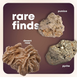 Научный набор STEAM Коллекция камней и минералов (250 шт) от Dan & Darci