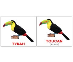 Навчальны картки Птахи/Birds 1