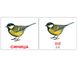 Навчальны картки Птахи/Birds російська мова