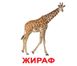 Навчальні картки Дикі тварини картон російська мова