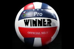 М'яч волейбольний Pro 1