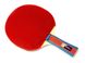 Набор для настольного тенниса Giant Dragon Taichi P40