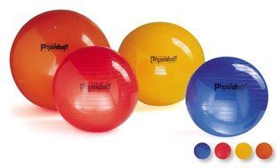 Физиобол Physioball Standard 1